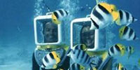 Aqua Safari